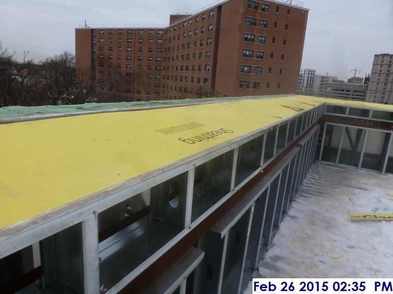 Installed sheathing around the perimeter of the UCIA Roof Facing East